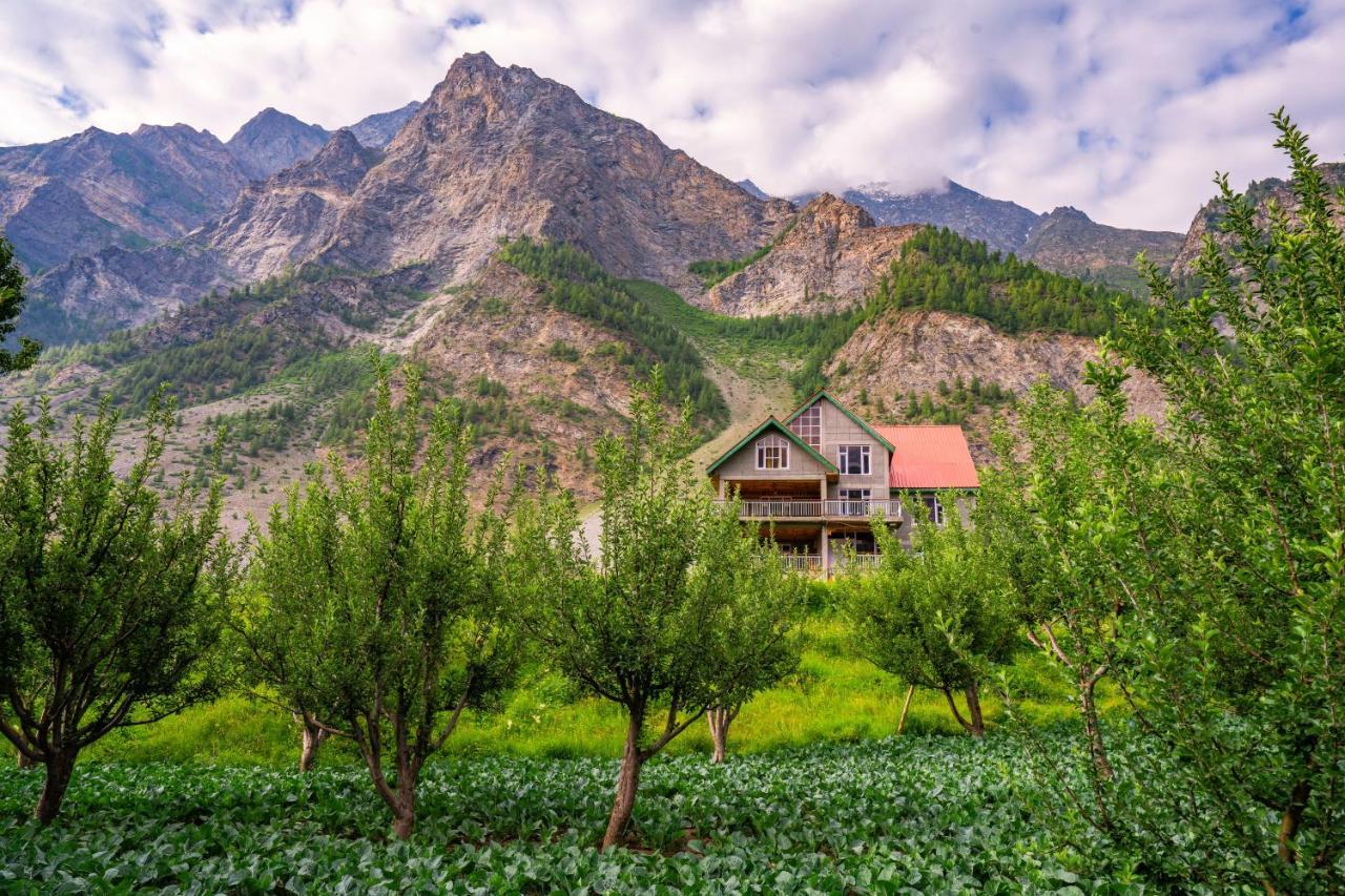 Zostel Homes Rashil Tandi Екстериор снимка